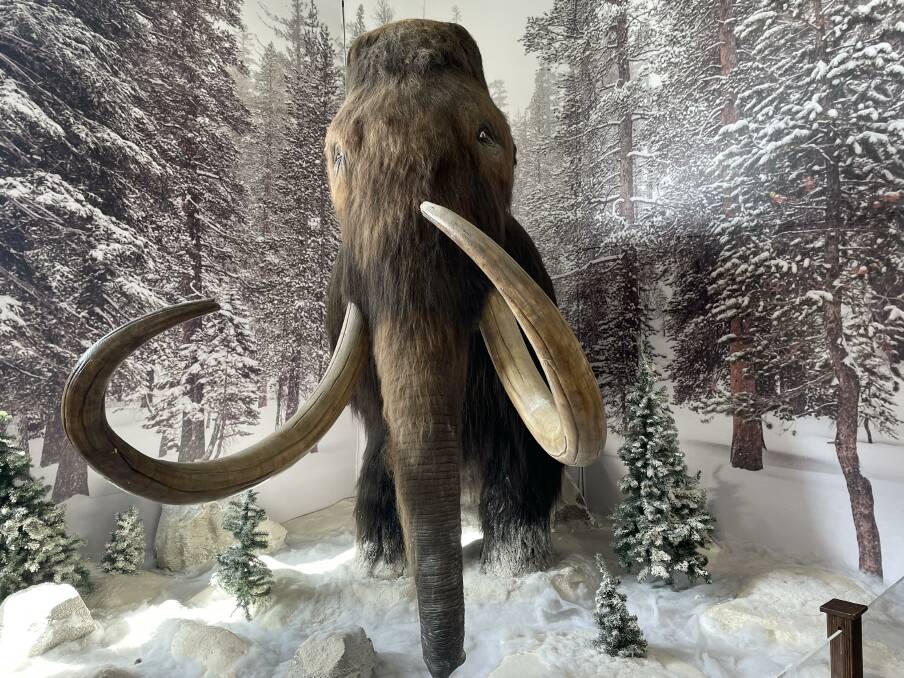 Mammoth Mountain: A full-size mammoth greets diners at a restaurant on the hill.