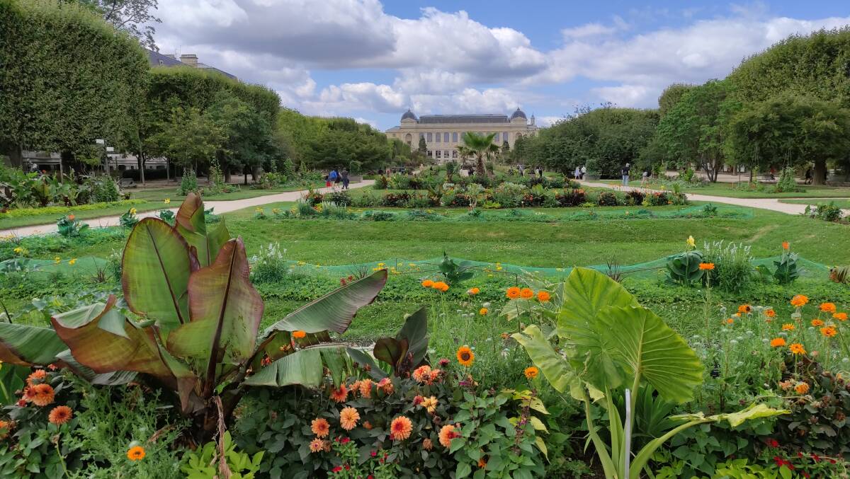 Jardin des Plantes. Picture: Steve McKenna