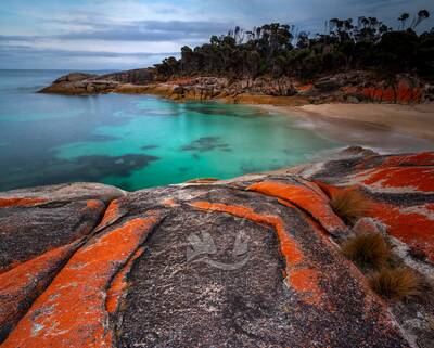 A Flinders Island beach. 