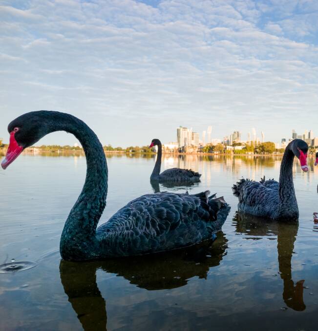 The Swan River. Picture: Getty Images