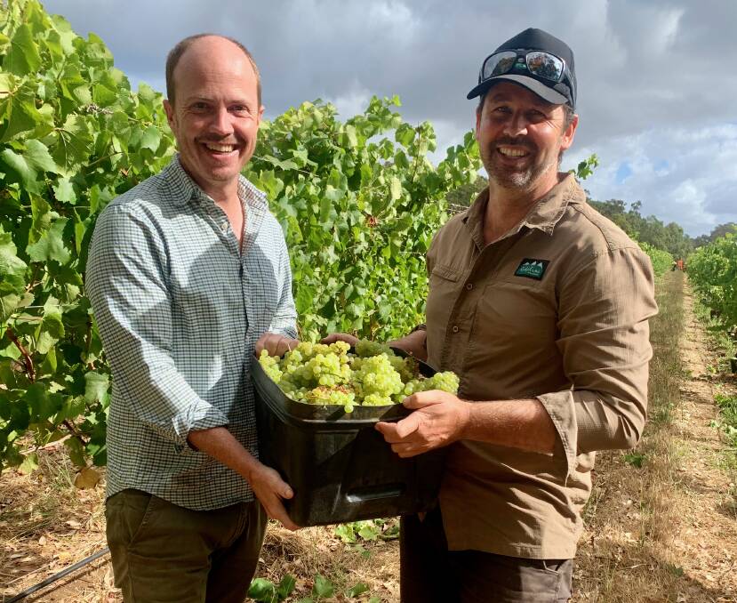 Tim Shand and Glen Ryan at Voyager Estate. Picture: Amy Cooper