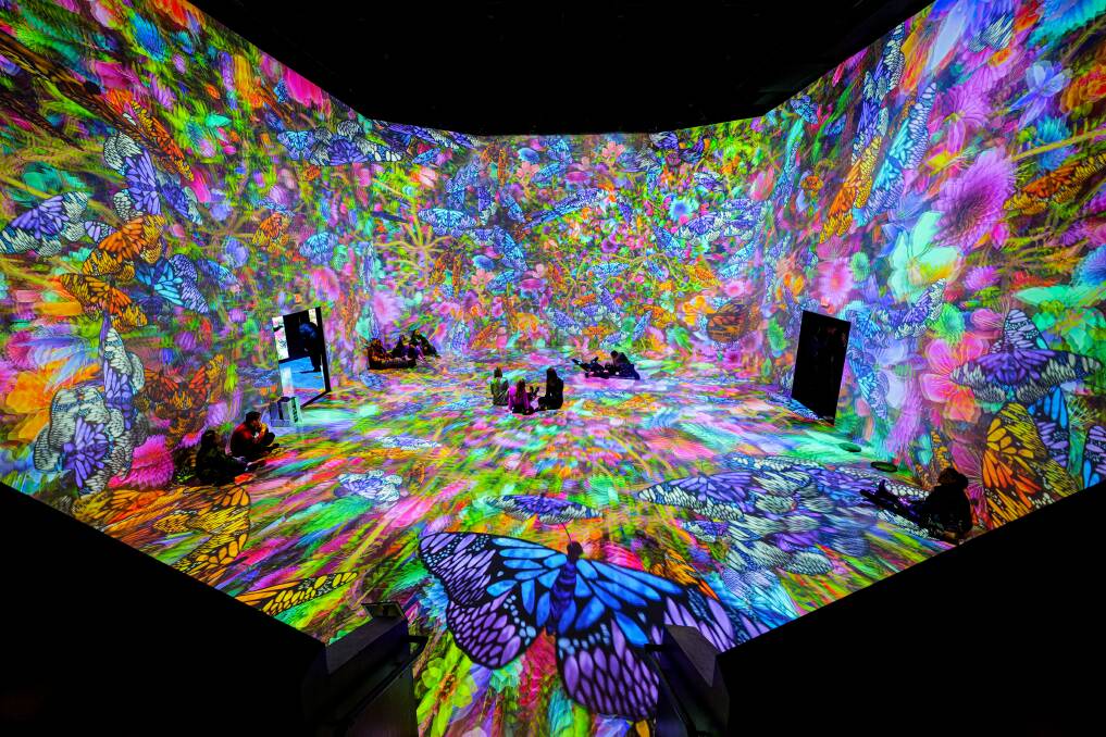 Projections at ArtecHouse.