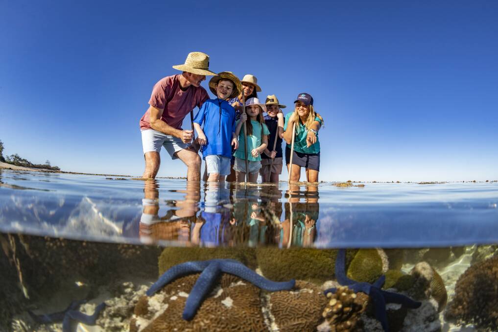 Eco tours on Lady Elliot Island. Picture: Tourism and Events Queensland