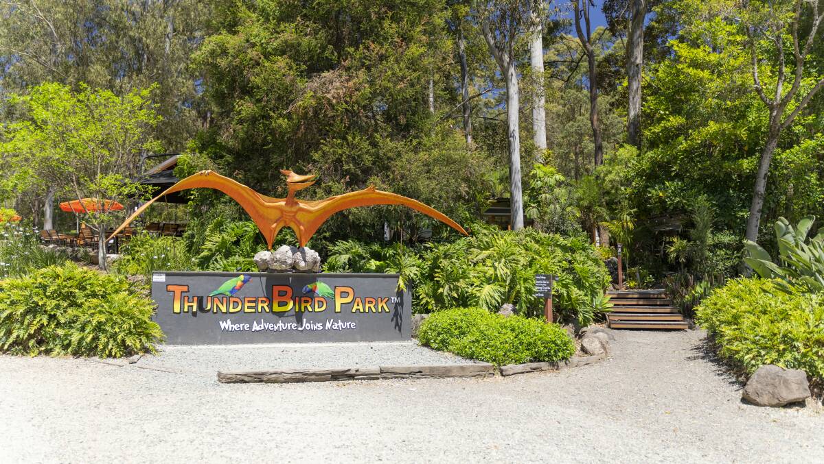 Thunderbird Park. Picture: Tourism & Events Queensland
