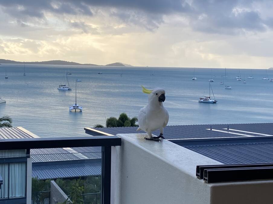 A visitor at Mirage Whitsundays. Picture: Kate Cox
