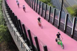 Pretty in pink: The best way to explore the city of Auckland