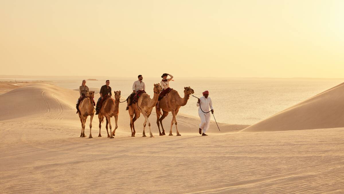 Desert views in Qatar.