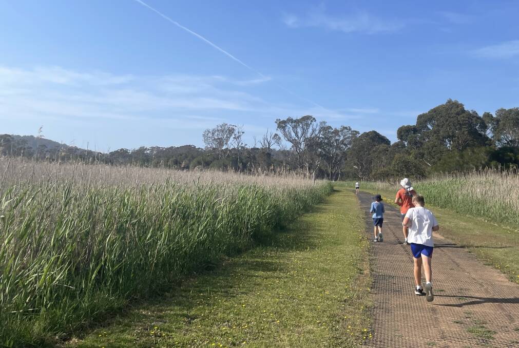 We tried the Pambula's "Panboola Wetlands" parkrun. The wetlands are built on the town's old racecourse. Picture: Megan Doherty