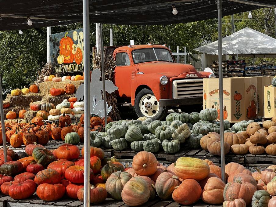 Pumpkins for sale in Nashville's 12 South neighbourhood. Picture: John Hanscombe