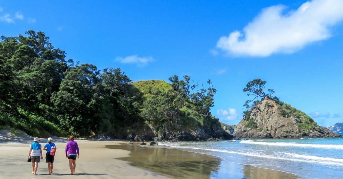 The blue brilliance of Great Barrier Island