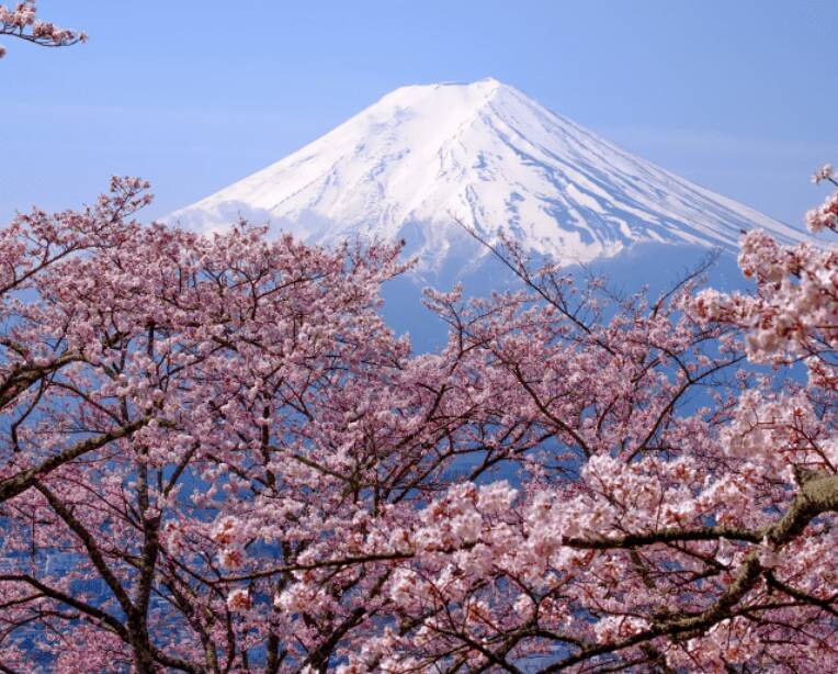 Mt Fuji.