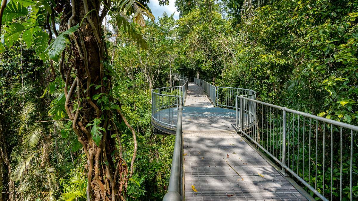 Take a stroll amongst the rainforest canopy at Mamu Tropical Skywalk.