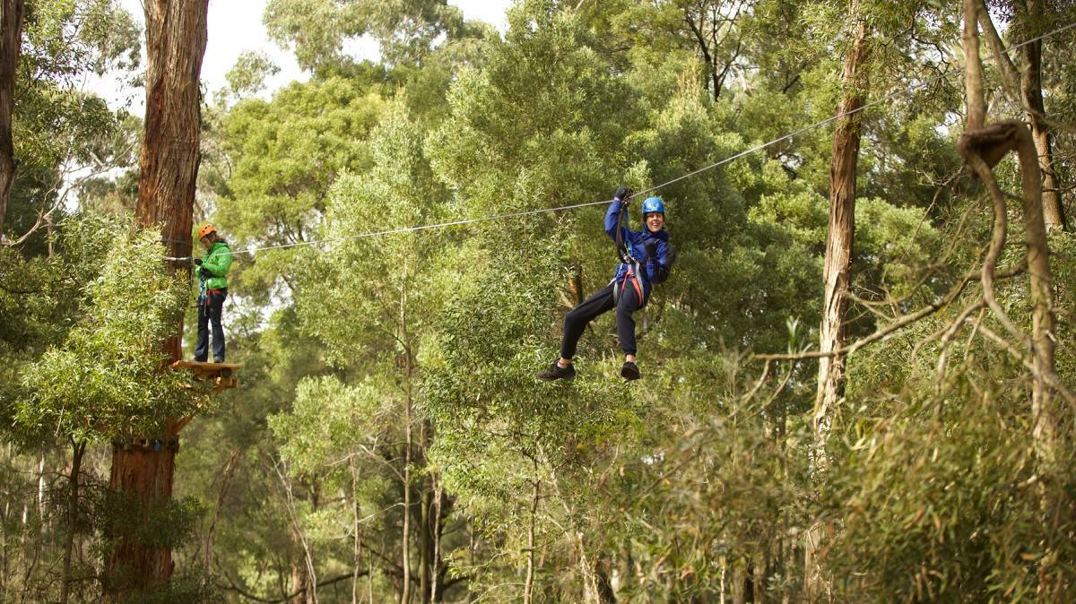 Trees Adventure reveals a whole new world on NSW South Coast