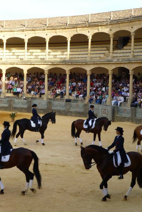 In the bullring with the Andalusian dancing horses.