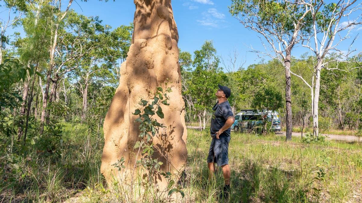 Rob Woods from Ethical Adventures looks up at a cathedral termite mound.