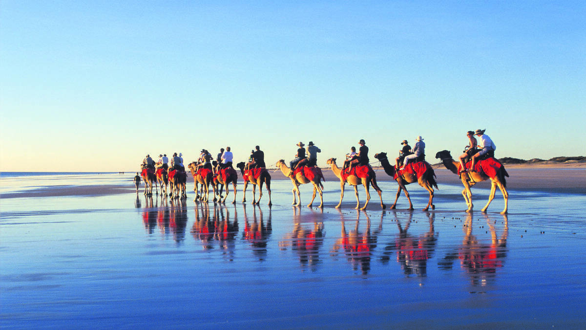 Camel rides along Cable Beach.
