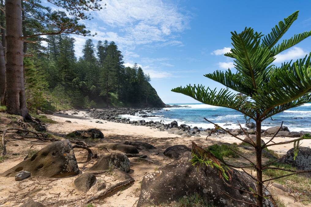 The stunning coastline is part of the reason Norfolk Island is becoming more popular with younger visitors.