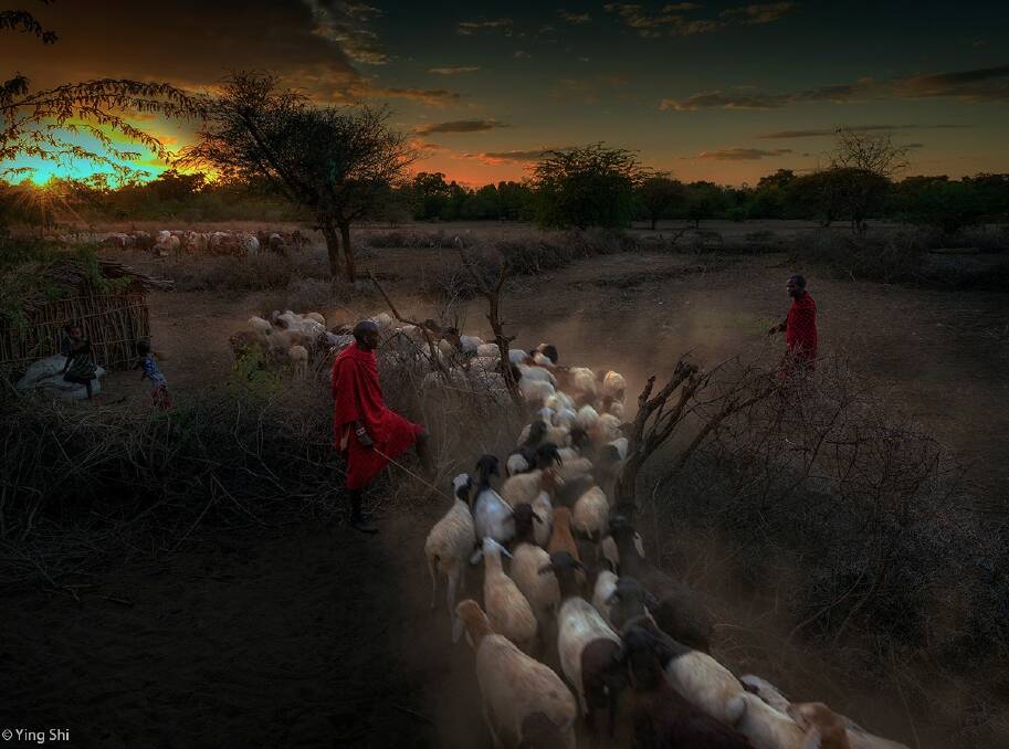 The jaw-dropping winning images of Africa Geographic’s 2021 Photographer of the Year award