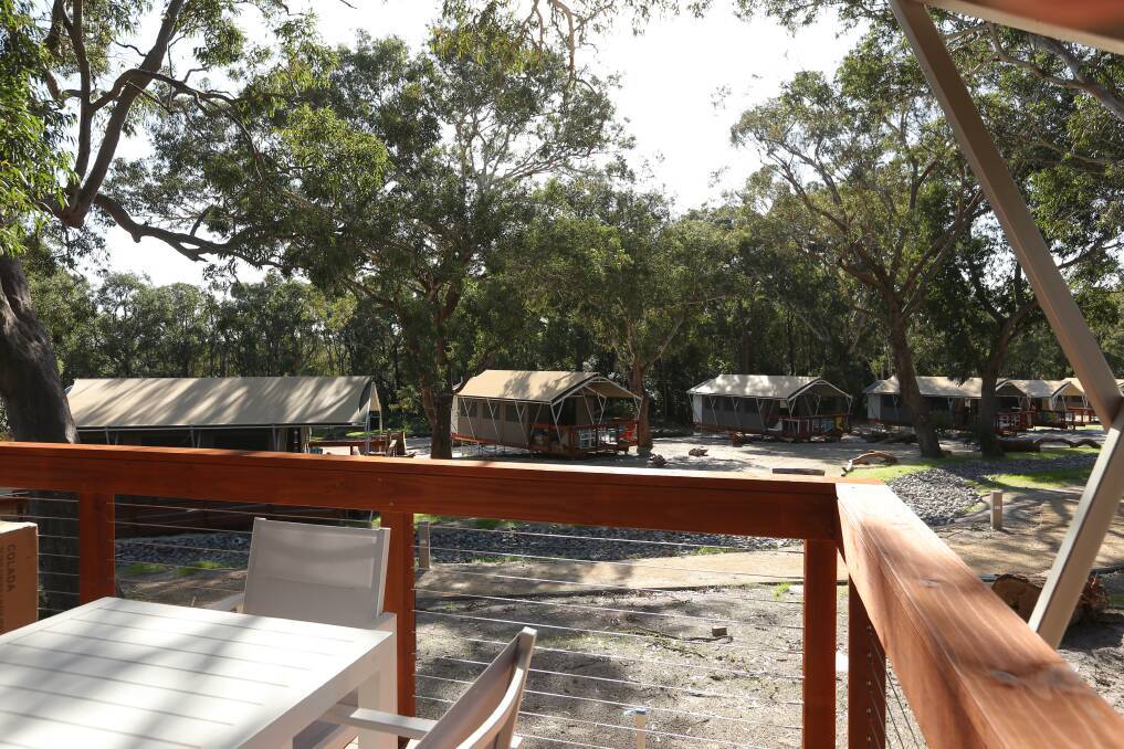 Stay in a deluxe glamping tent at the peaceful Port Stephens Koala Sanctuary. 